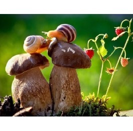 Алмазная мозаика 'Ля-мур', без подрамника 30*40см,