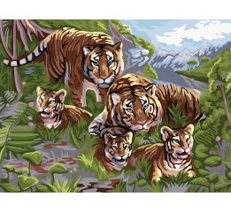Картина по номерам  №6 «Тигры» 30*40см, в кор. 42*