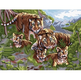 Картина по номерам  №6 «Тигры» 30*40см, в кор. 42*