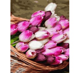 Картина по номерам 'Корзина тюльпанов', в термопак