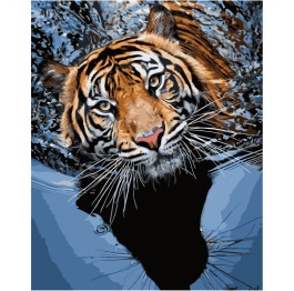 Картина по номерам 'Тигр в воде', в термопакете 40