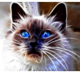 Алмазная мозаика неоновая 'Голубоглазая кошка' 30*