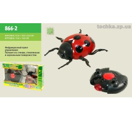 Животные на р/у 866-2 Животные на р/у 866-2